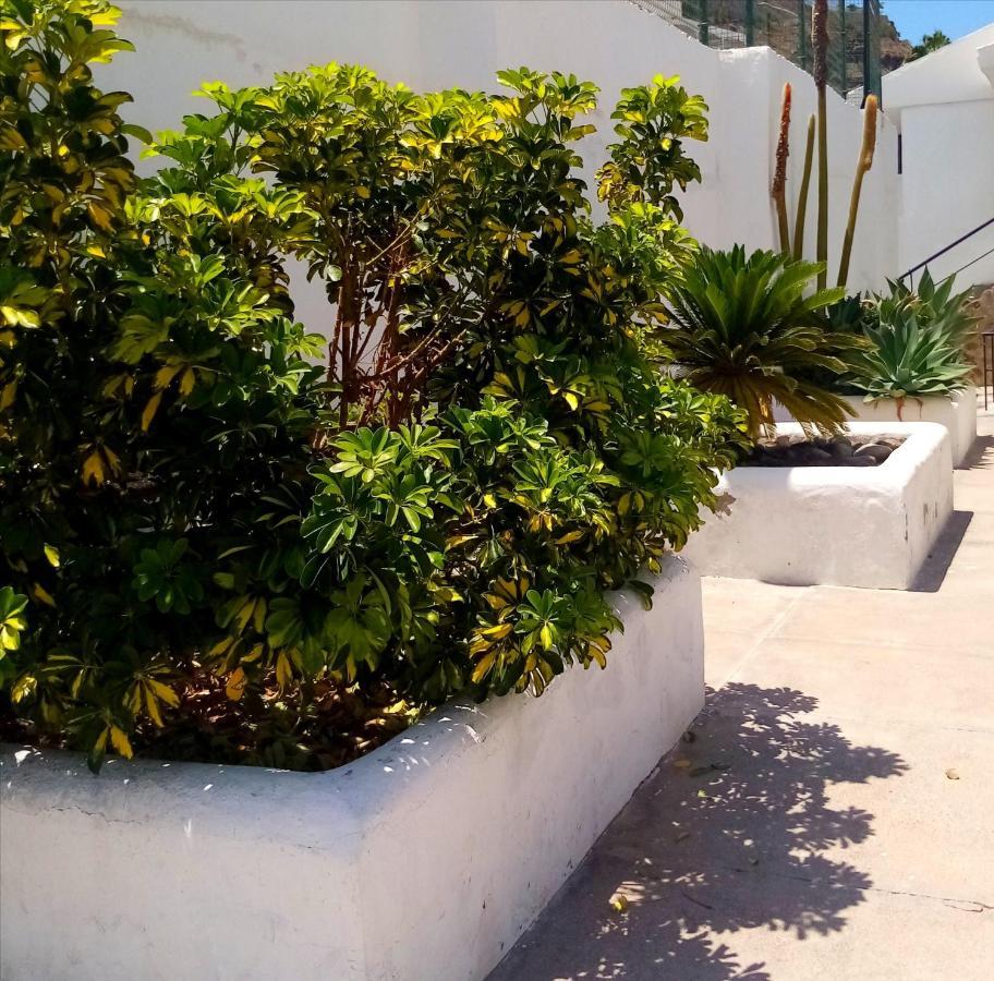 Most Sunny Days On Gran Canaria Puerto Rico  Zewnętrze zdjęcie